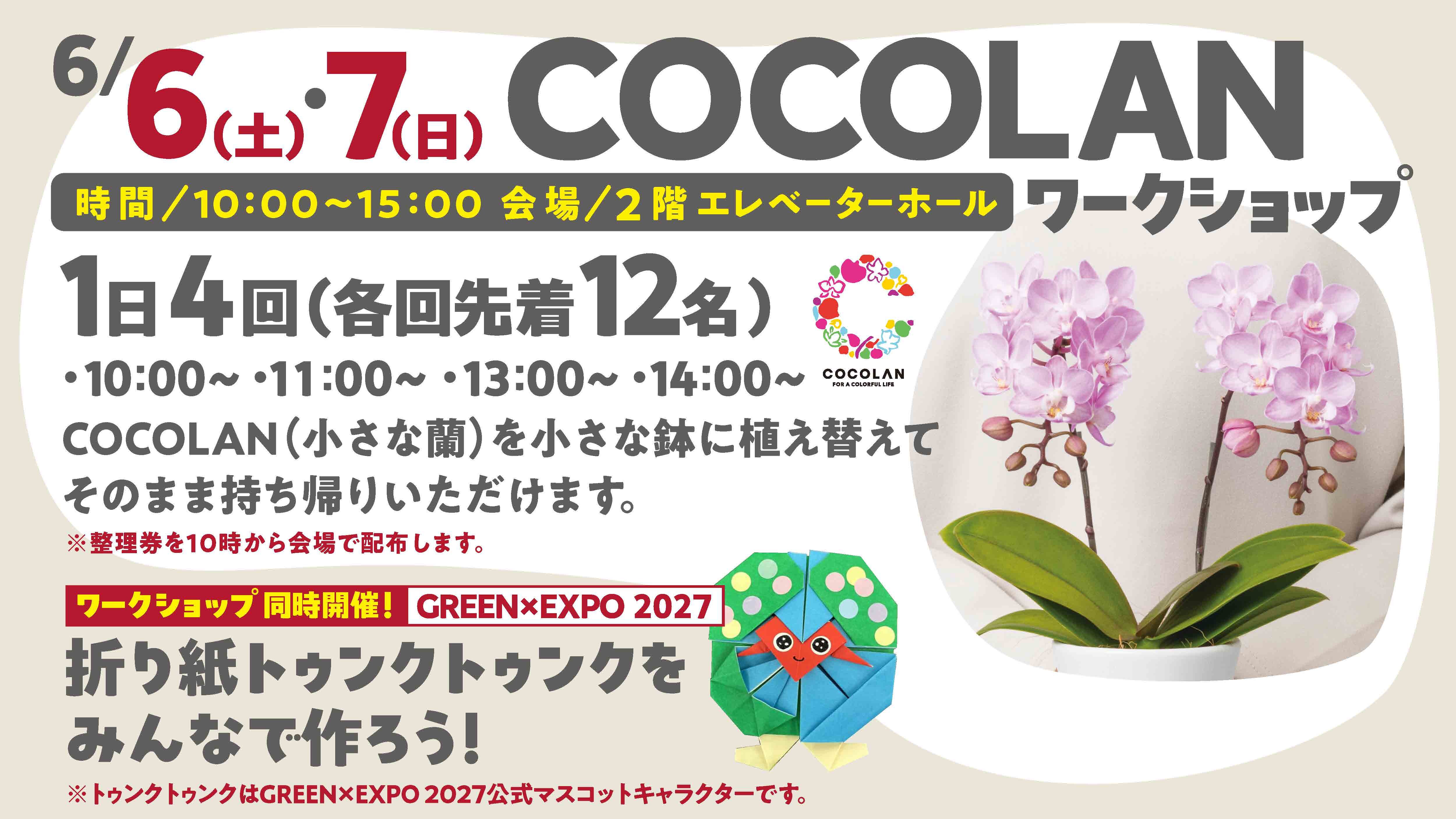 COTOE 画像