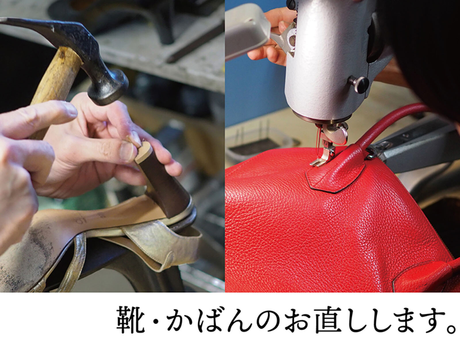 スライド画像