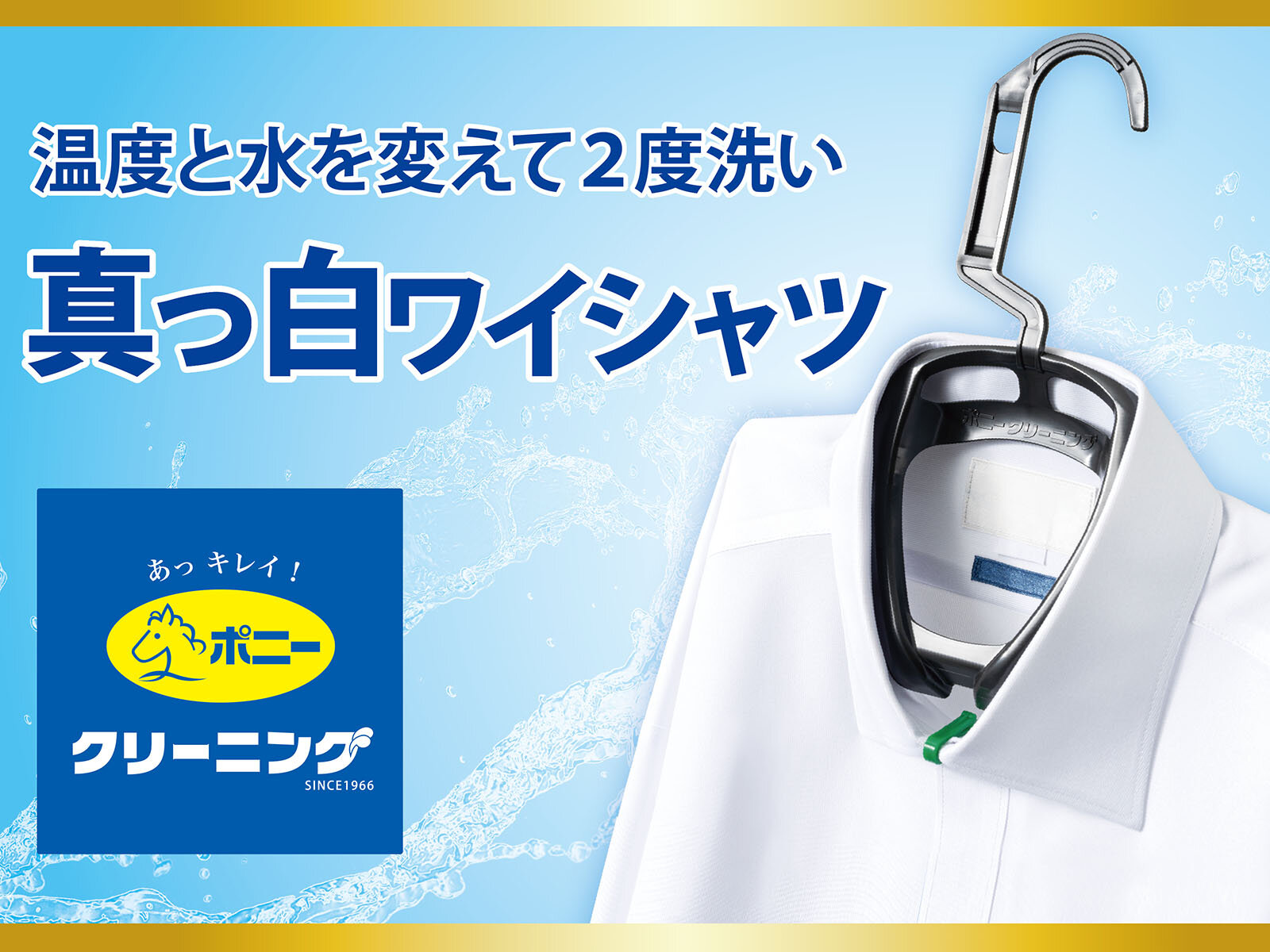 スライド画像