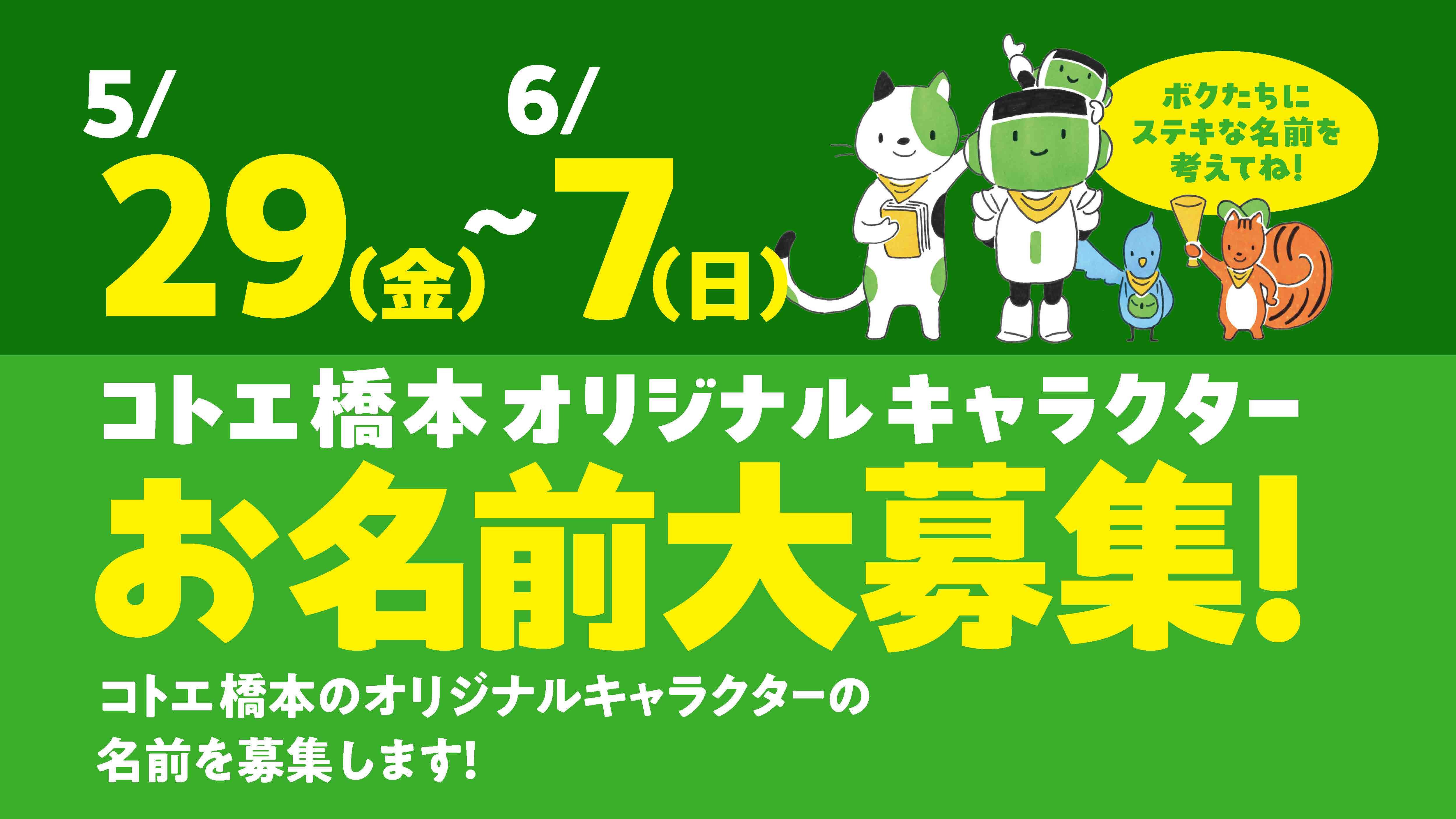 COTOE 画像